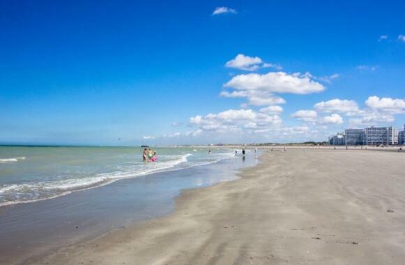 Les Pieds Dans Le Sable Apartment Malo-les-Bains
